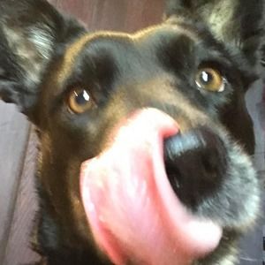 Meet your Posher, Kerry